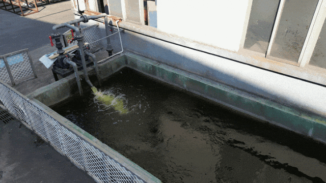 喜訊！中亞鋁業(yè)榮獲企業(yè)綠色品牌！(圖7)